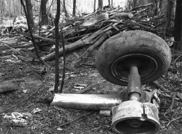 Największa Wilgotność W Lesie 30 lat temu w Lesie Kabackim rozbił się samolot LOT-u | dzieje.pl